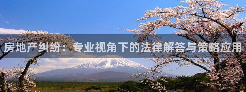 长江和记集团官网：房地产纠纷：专业视角下的法律解答与策略应用