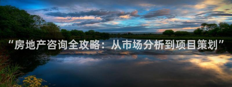和记登录官网：“房地产咨询全攻略：从市场分析到项目策划”
