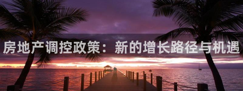 和记电讯香港官网：房地产调控政策：新的增长路径与机遇