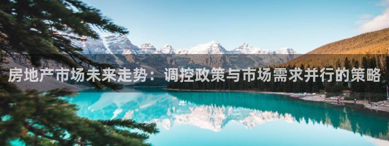 澳门和记 官网：房地产市场未来走势：调控政策与市场需求并行的