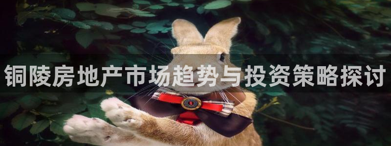 和记官网手机新版app下载：铜陵房地产市场趋势与投资策略探讨