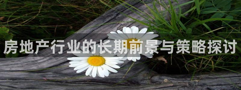 和记3电讯 官网：房地产行业的长期前景与策略探讨