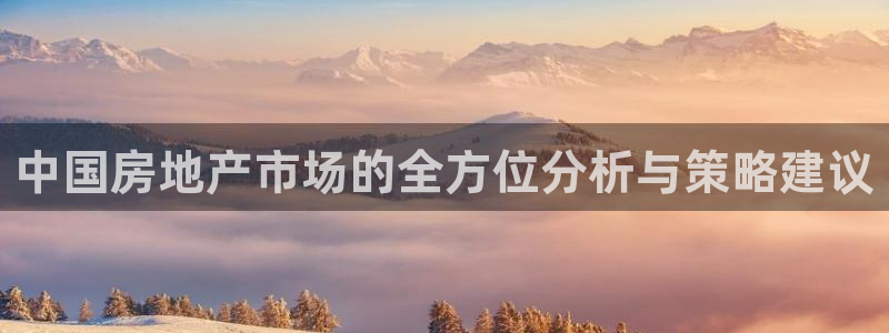 和记官网官网入口：中国房地产市场的全方位分析与策略建议
