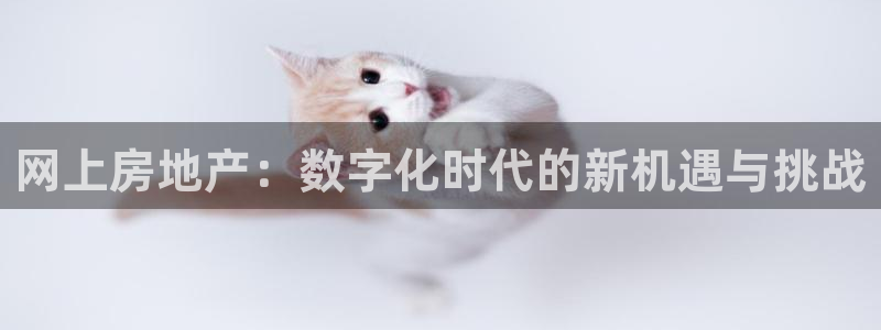 和记国际有限公司官网