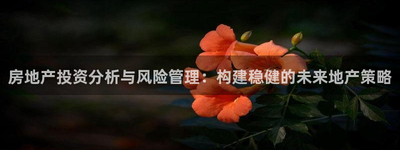 和兴记官网：房地产投资分析与风险管理：构建稳健的未来地产策略