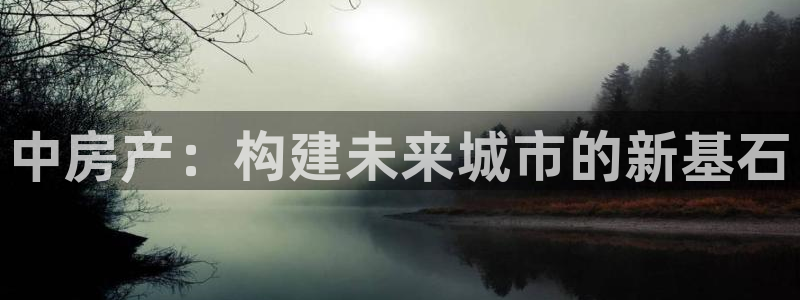 和记平台官网：中房产：构建未来城市的新基石