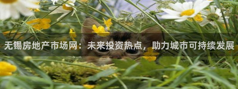 和记怡情官网入口：无锡房地产市场网：未来投资热点，助力城市可