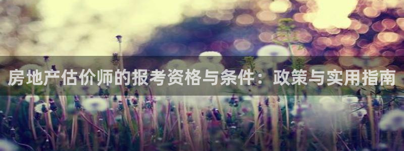 成都和记公司官网：房地产估价师的报考资格与条件：政策与实用指