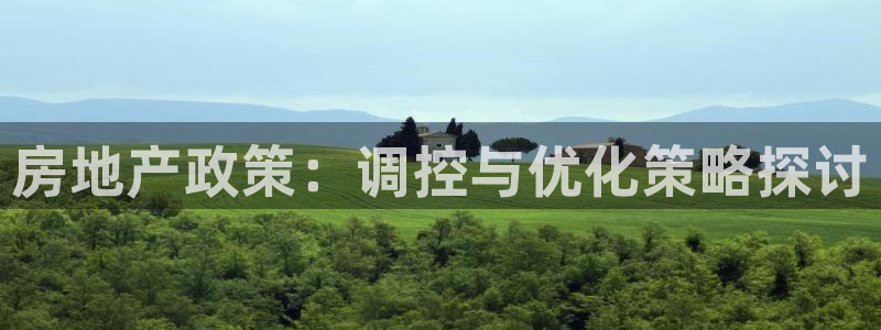 元和记官网：房地产政策：调控与优化策略探讨