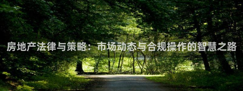 小金库钱包app下载官网和记：房地产法律与策略：市场动态与合