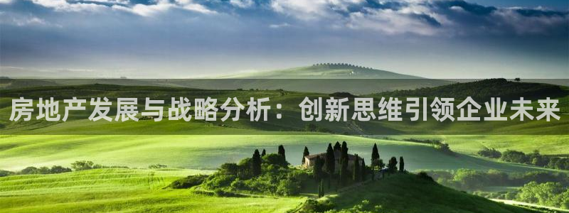 和记港口信托官网：房地产发展与战略分析：创新思维引领企业未来