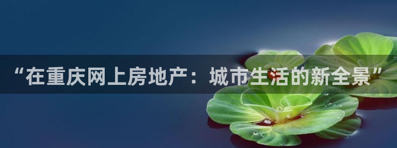 缅甸和记国际官网：“在重庆网上房地产：城市生活的新全景”