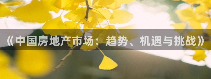 和记娱乐唯一官网：《中国房地产市场：趋势、机遇与挑战》