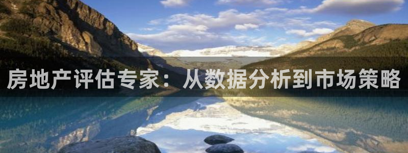 香港和记黄埔官网：房地产评估专家：从数据分析到市场策略