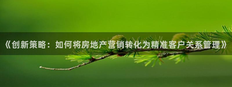 和木记手帕官网：《创新策略：如何将房地产营销转化为精准客户关