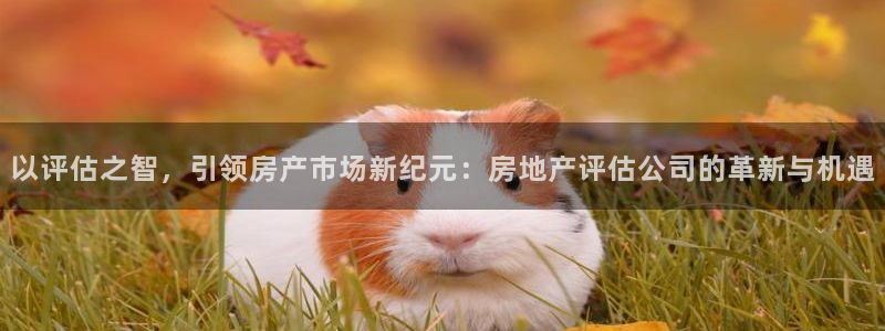 和记官网客服app：以评估之智，引领房产市场新纪元：房地产评