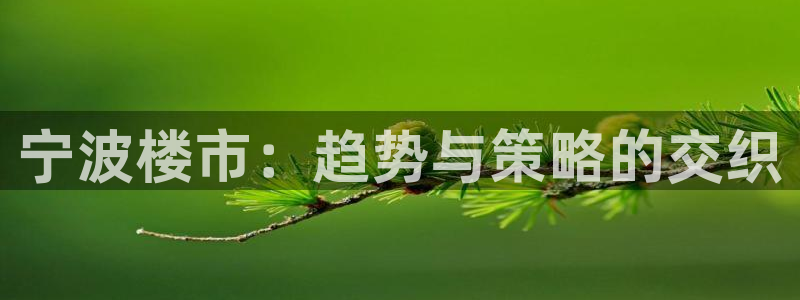 和记电官网：宁波楼市：趋势与策略的交织