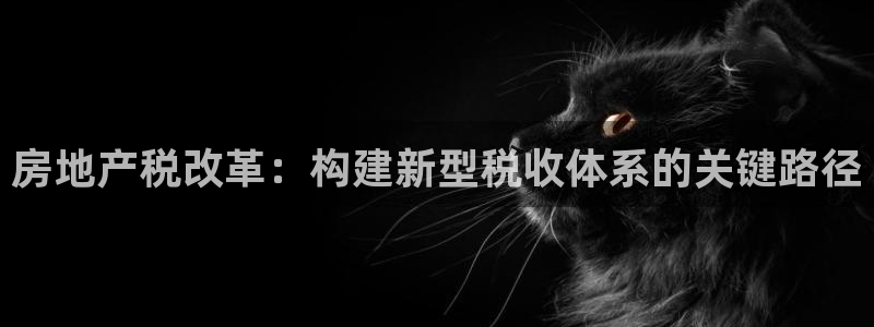 和记娱答疑h88285官网：房地产税改革：构建新型税收体系的