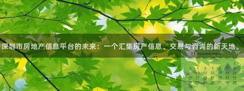 和记电信官网：深圳市房地产信息平台的未来：一个汇集房产信息、