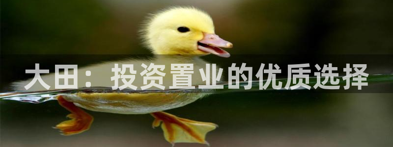 澳门和记客服官网：大田：投资置业的优质选择