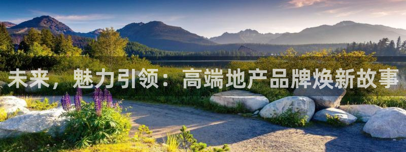 和记娱精湛h88285官网：未来，魅力引领：高端地产品牌焕新