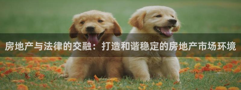 和记澳门官网：房地产与法律的交融：打造和谐稳定的房地产市场环