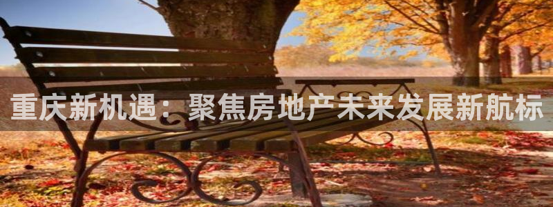 和记手游官网：重庆新机遇：聚焦房地产未来发展新航标