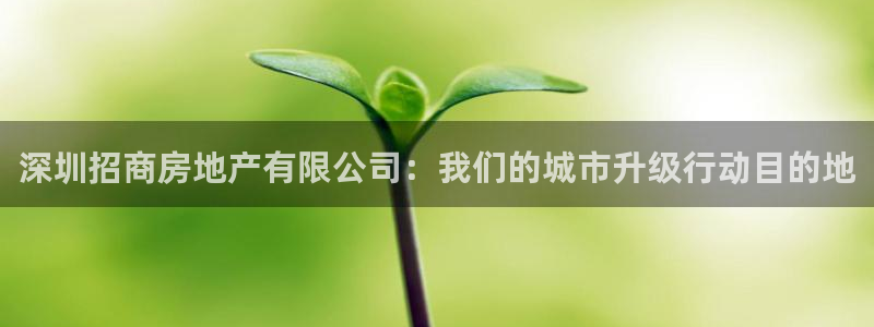 和帆记加盟官网：深圳招商房地产有限公司：我们的城市升级行动目