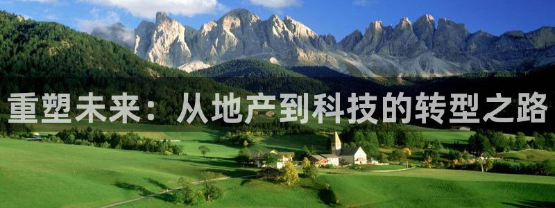 和记 中国官网：重塑未来：从地产到科技的转型之路