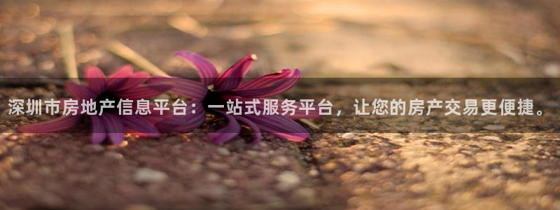 和记官网登录：深圳市房地产信息平台：一站式服务平台，让您的房