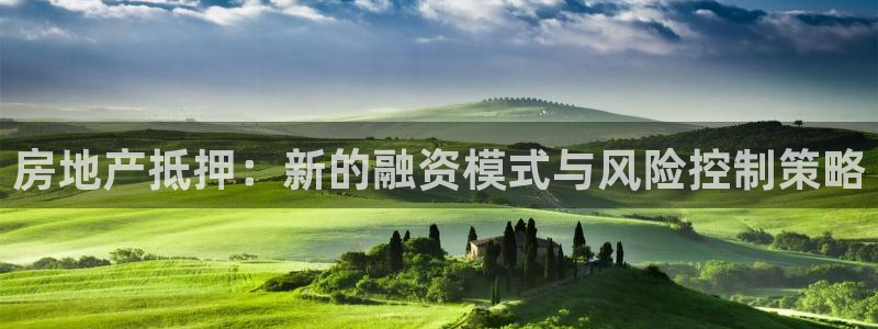 和记万佳官网：房地产抵押：新的融资模式与风险控制策略
