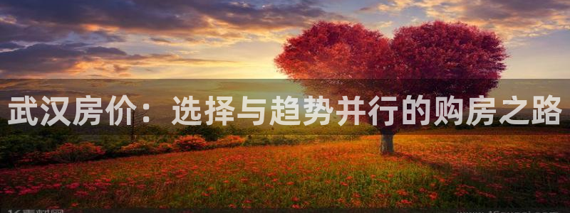 和记黄埔官网攻略：武汉房价：选择与趋势并行的购房之路