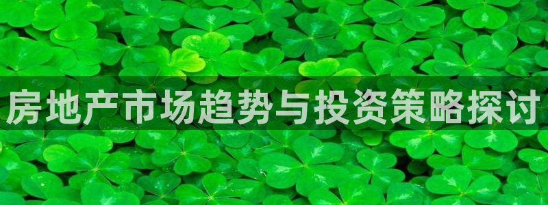 广州和德记官网：房地产市场趋势与投资策略探讨