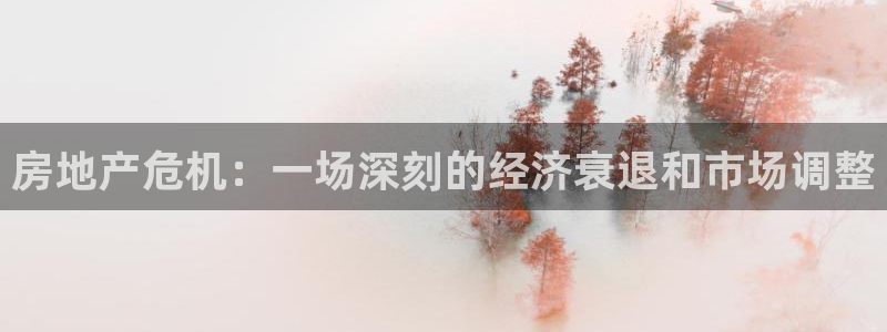 和记电讯官网澳门：房地产危机：一场深刻的经济衰退和市场调整
