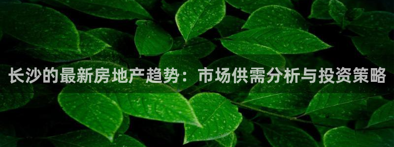 和记彩官网：长沙的最新房地产趋势：市场供需分析与投资策略