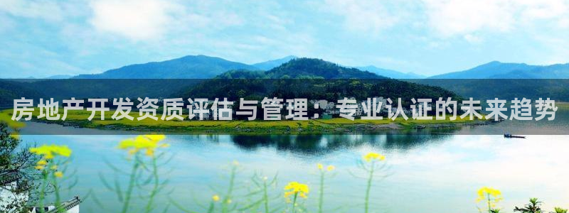 和记官网加盟：房地产开发资质评估与管理：专业认证的未来趋势