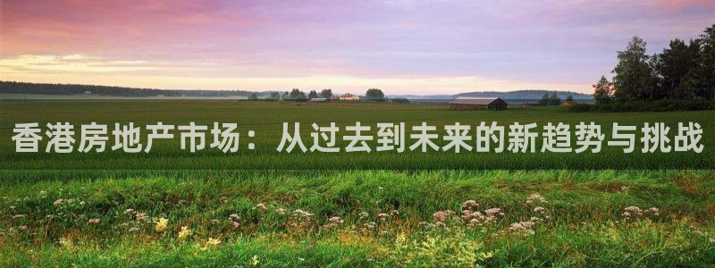 香港3和记官网：香港房地产市场：从过去到未来的新趋势与挑战
