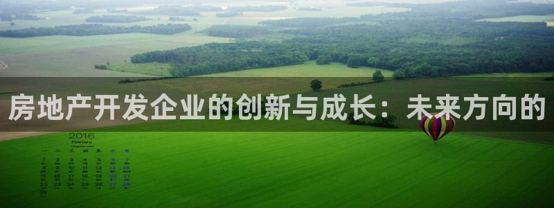 和记娱乐 官网：房地产开发企业的创新与成长：未来方向的