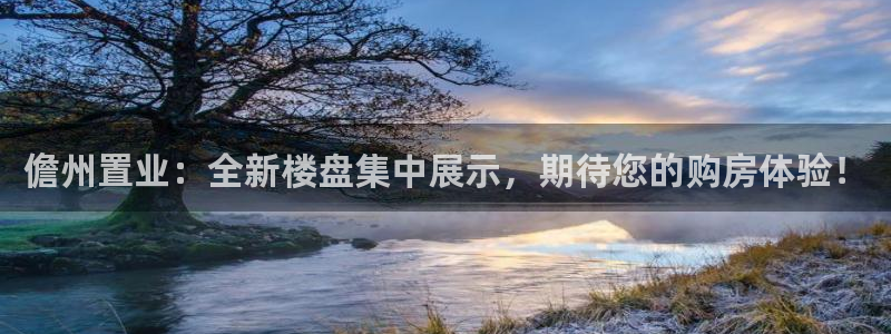 和记怡情官网：儋州置业：全新楼盘集中展示，期待您的购房体验！