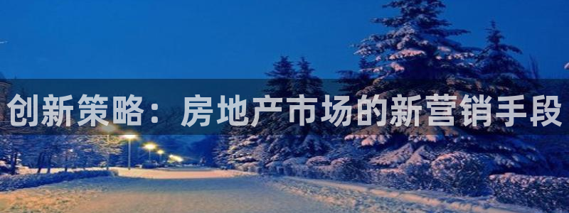 和记官网登录入口：创新策略：房地产市场的新营销手段