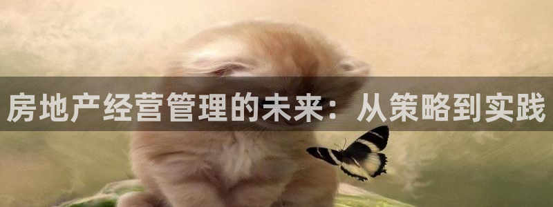 香港和记3台官网：房地产经营管理的未来：从策略到实践