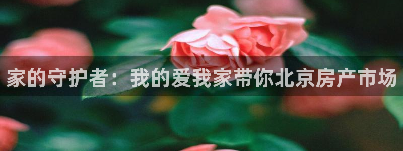 和记电讯 官网：家的守护者：我的爱我家带你北京房产市场