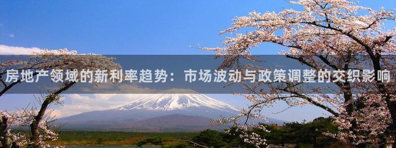 和记官网登陆：房地产领域的新利率趋势：市场波动与政策调整的交