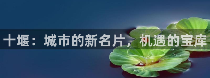 和记港口官网：十堰：城市的新名片，机遇的宝库