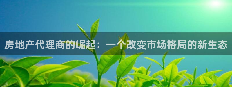 和记h88官网：房地产代理商的崛起：一个改变市场格局的新生态