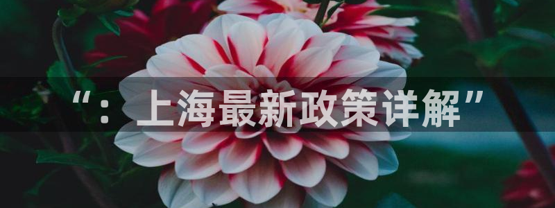 和记怡情博娱官网：“：上海最新政策详解”