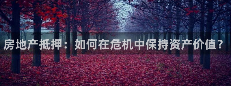 和记怡情官网：房地产抵押：如何在危机中保持资产价值？