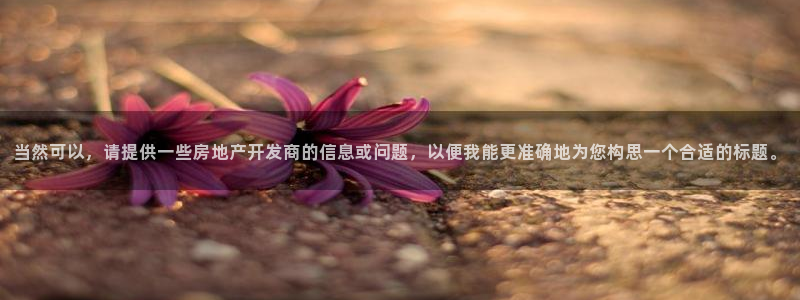 和记火爆官网：当然可以，请提供一些房地产开发商的信息或问题，