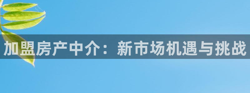 和记官网手机版：加盟房产中介：新市场机遇与挑战