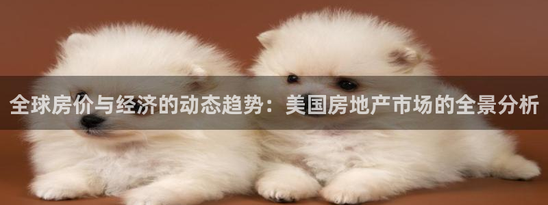 成都和记黄埔官网：全球房价与经济的动态趋势：美国房地产市场的